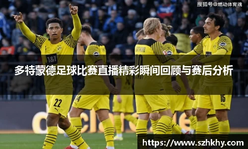 多特蒙德足球比赛直播精彩瞬间回顾与赛后分析